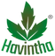 logo_47865573-e5e3-4176-a871-836b98b50e87 (1)
